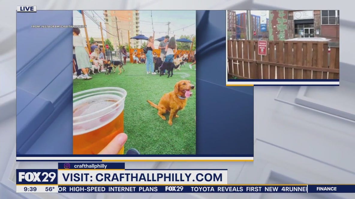 Dog park beer garden opening in Northern Liberties